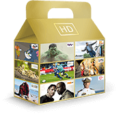 Vodafone Premium TV-Paket 24 Monate